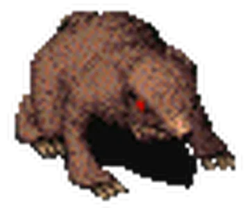 The King Rat