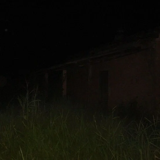 Camp Out Until Dawn [Alone?..]