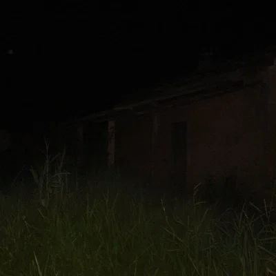 Camp Out Until Dawn [Alone?..]