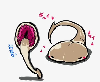 🐙 [TG] The Morphic Symbiote