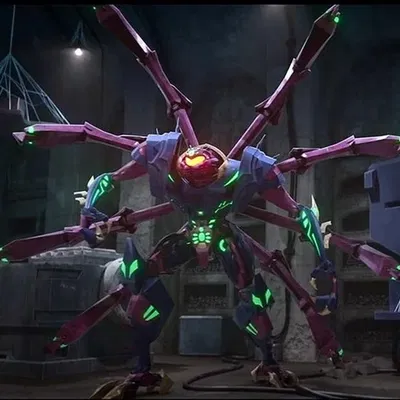 Tarantulas