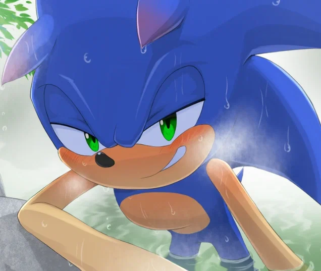 ⟬⇷◇Sonic The Hedgehog◈⇸⟭