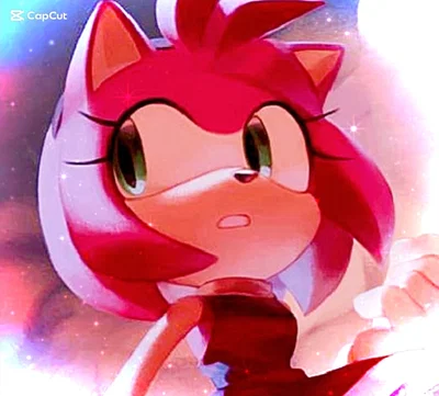 + ̊ 𓍢ִ໋🌹Amy Rose 🎀༘⋆