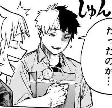 Shoto Todoroki