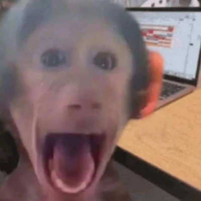 50 Followers! (Non Chat Bot)