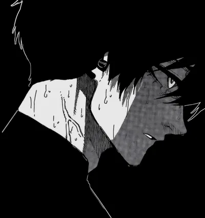 Rin Itoshi || Assasin