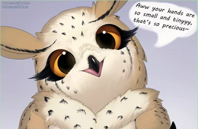 Holly | Owl-Bear of the woods and big butt