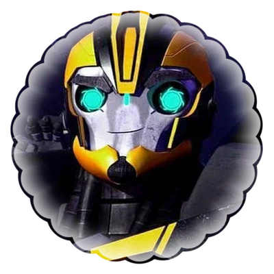 Tfp!│Bumblebee 𐔌