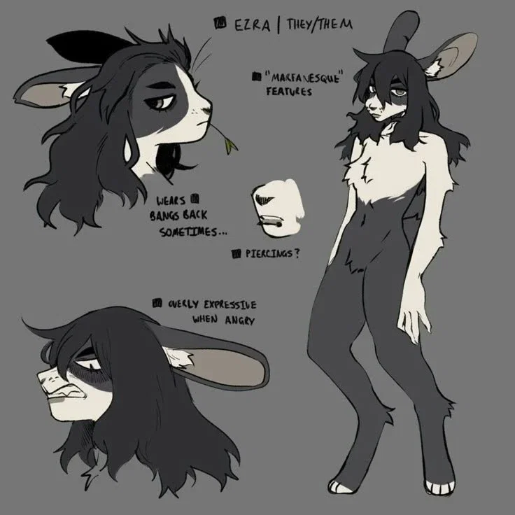 a wild rabbit