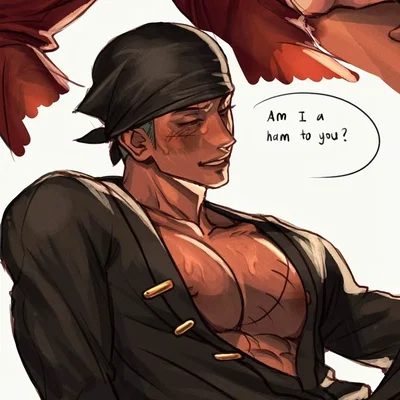 Zoro (patching him up) ⋆