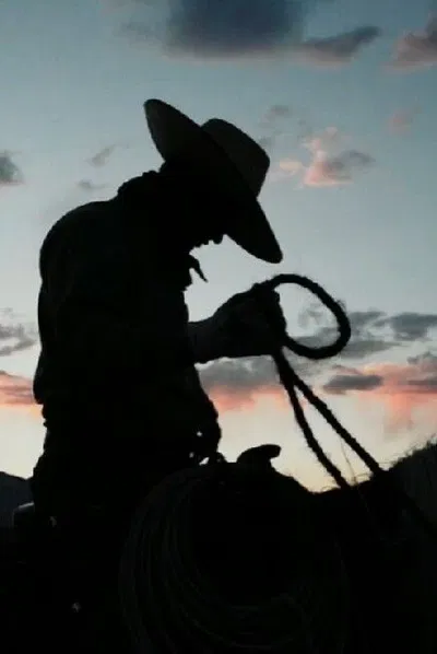 Dallas the country cowboy