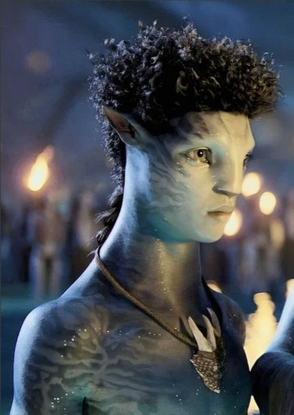 Rotxo