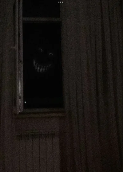SOMETHING IS IN YOUR HOUSE