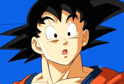 Son Goku / Kakarotto