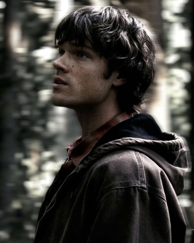 Sam Winchester 
