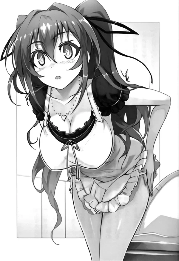Mio Naruse | The Testament of Sister New Devil