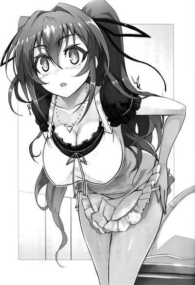 Mio Naruse | The Testament of Sister New Devil