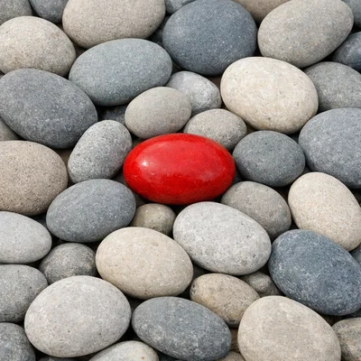 Rok the Rock