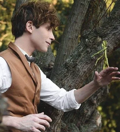 Newt Scamander (Fantastic beasts and where to find them)