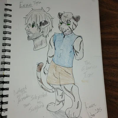 Enzo Tigrim (Siberian Tiger)
