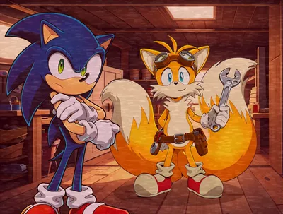 [NOT PRIVATE ANYMORE]   Captured by Sonic and Tails 