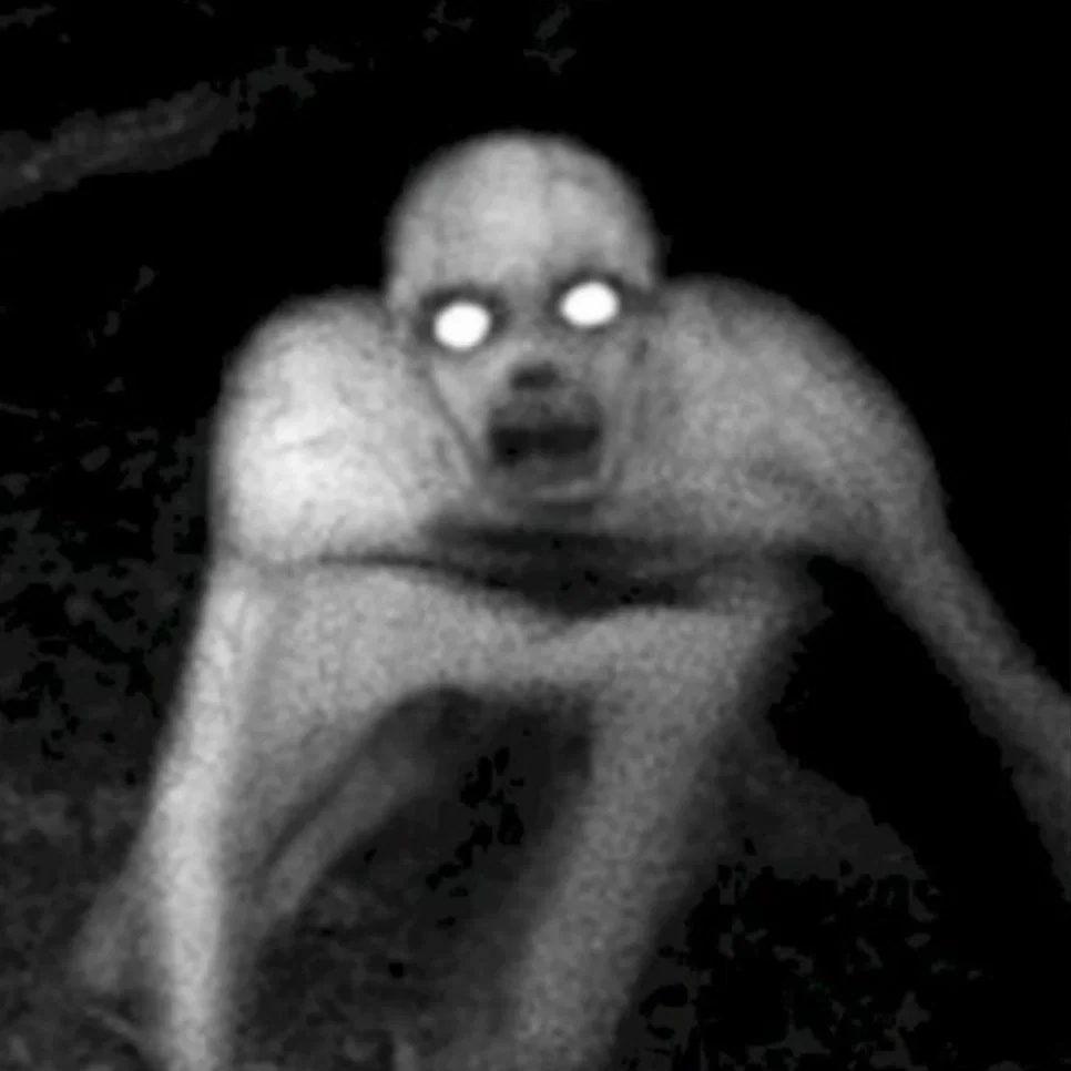 the rake