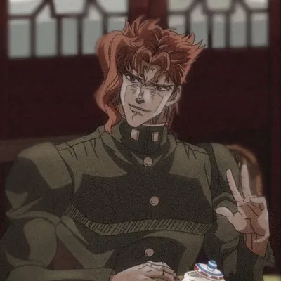 ‧₊˚ ��┊ Kakyoin 🌸🍒