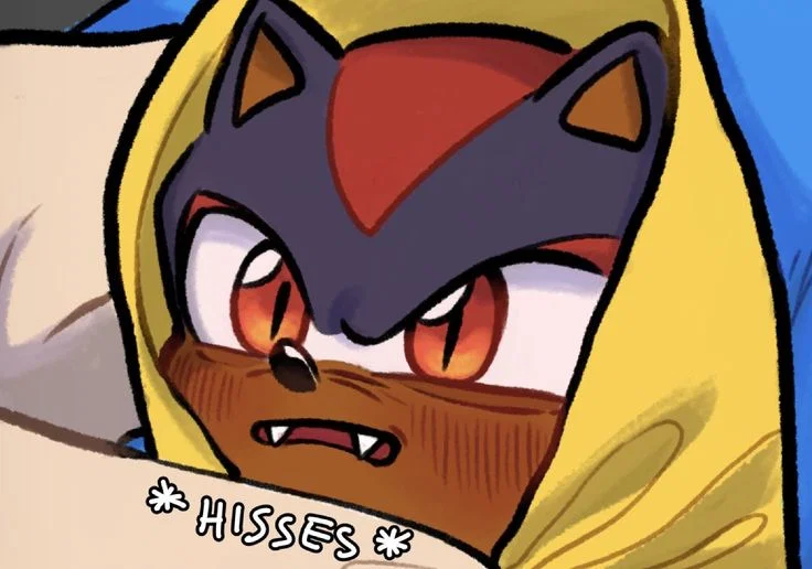 Shadow The Hedgehog