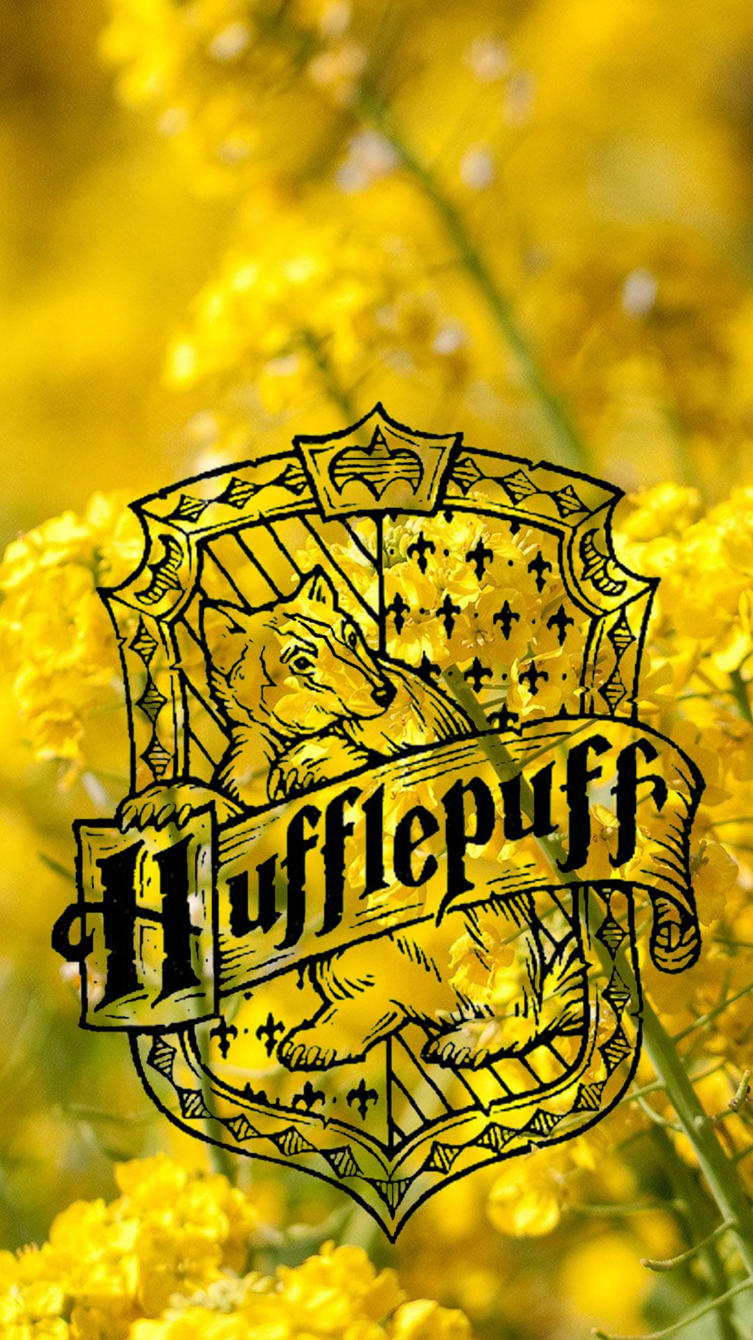 Hogwarts: The Hufflepuff Descendant
