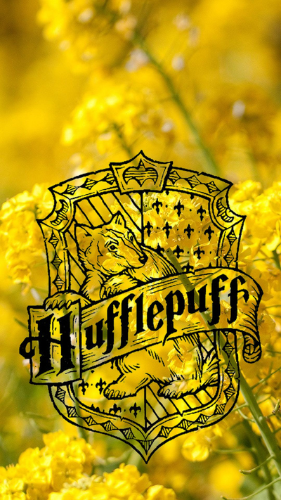 Hogwarts: The Hufflepuff Descendant