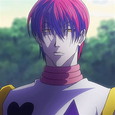 ~ Hisoka Morrow ~