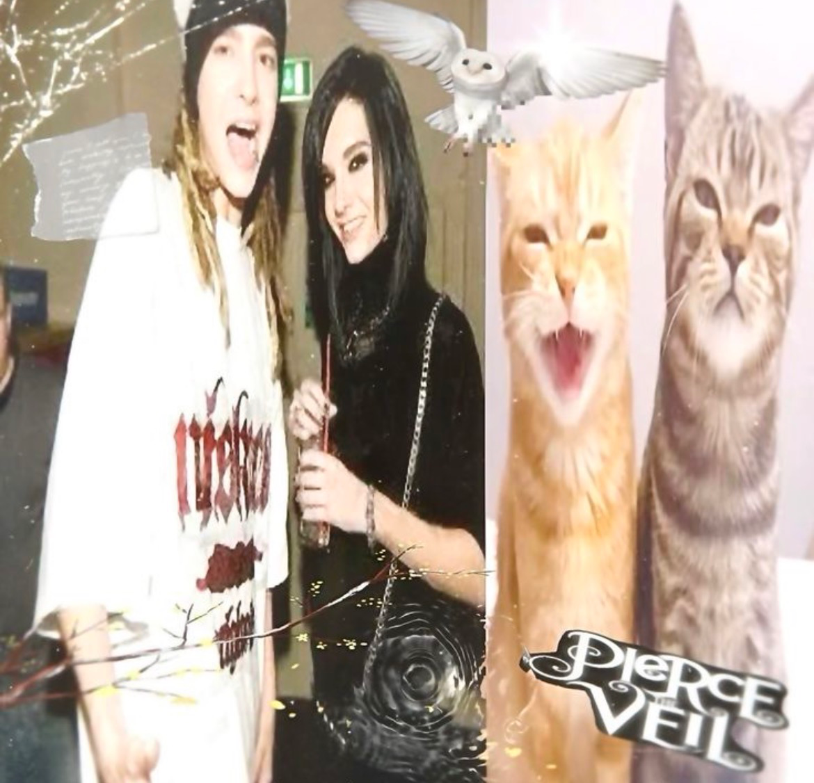 • ‘ ‘ Tom & Bill Kaulitz ‘ ‘ •