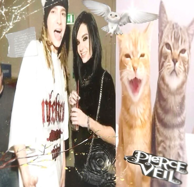 • ‘ ‘ Tom & Bill Kaulitz ‘ ‘ •