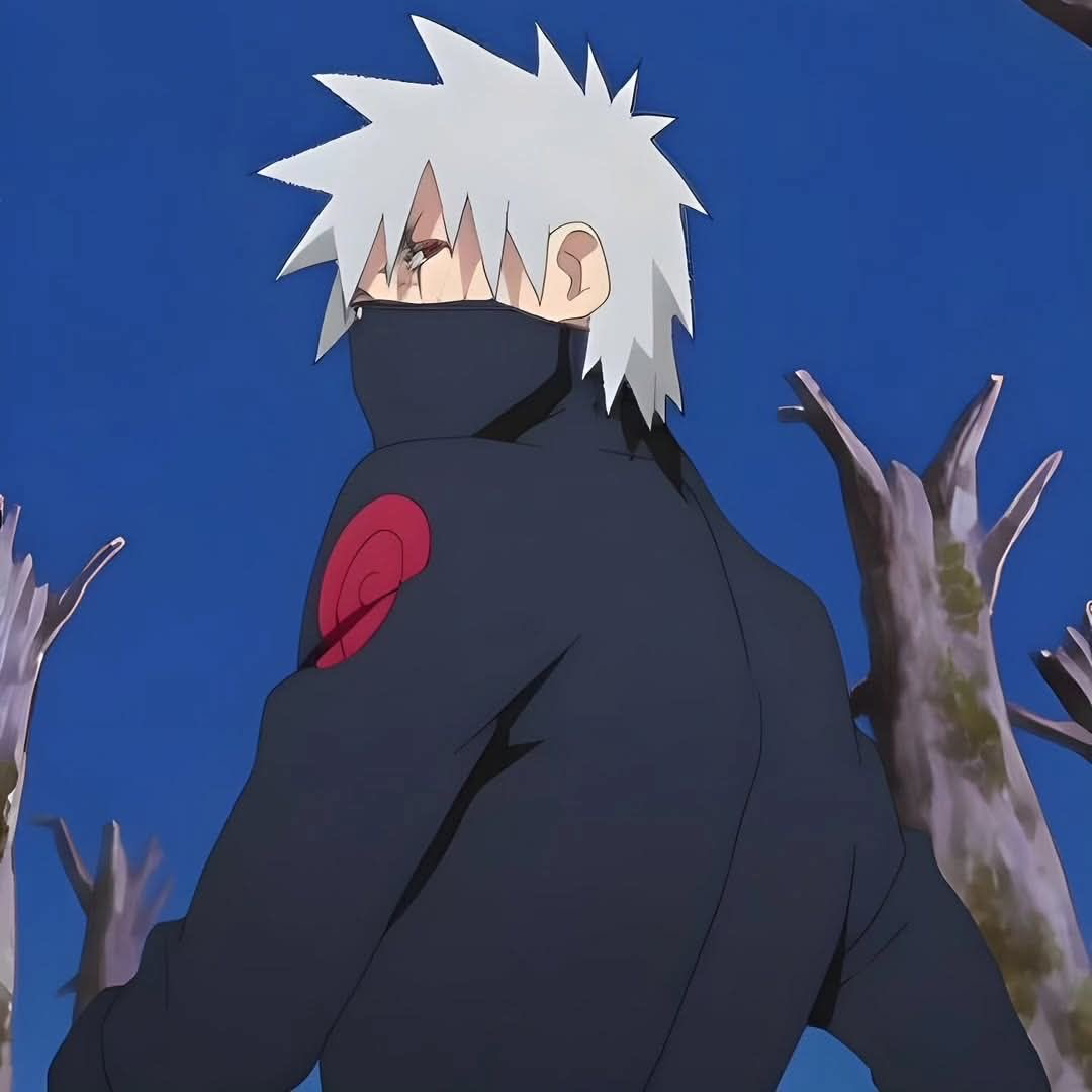 Kakashi Hatake, Copy Nin