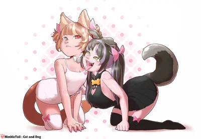COM PET — Placement & Ownership Part 2