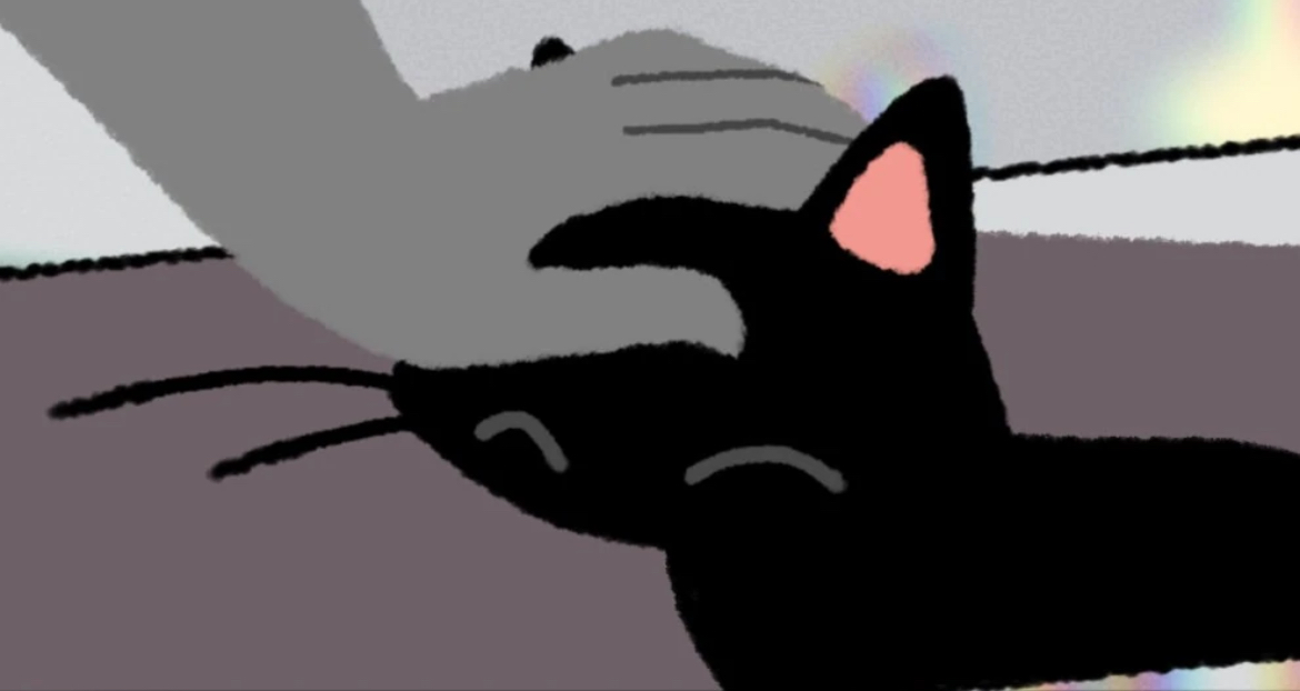Don’t take the cat home(idk no more)