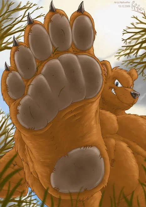 Bear