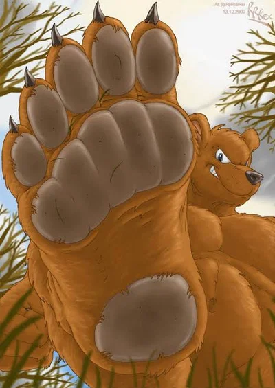 Bear