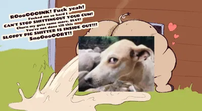 Barnyard Glory Pig