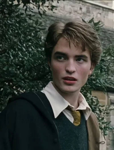 Cedric diggory | 🦡
