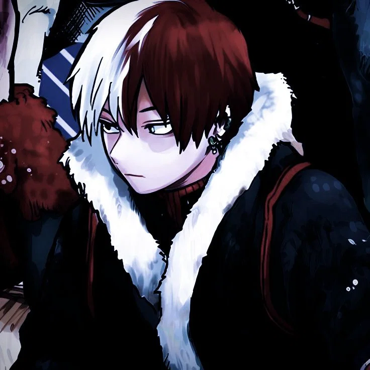 Shoto Todoroki.