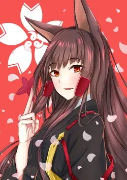 IJN Akagi