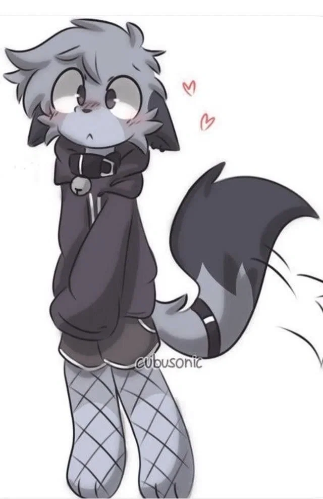 Cute kitty (⸝⸝⸝>_<⸝⸝⸝)