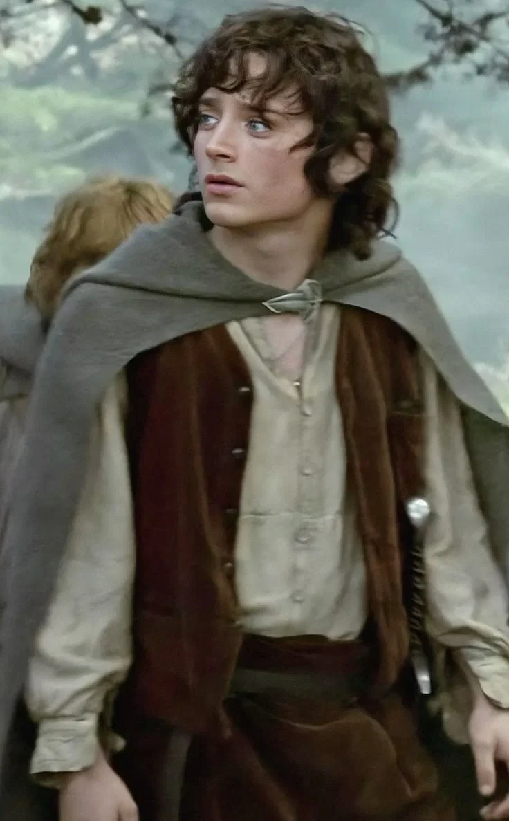 Frodo Baggins