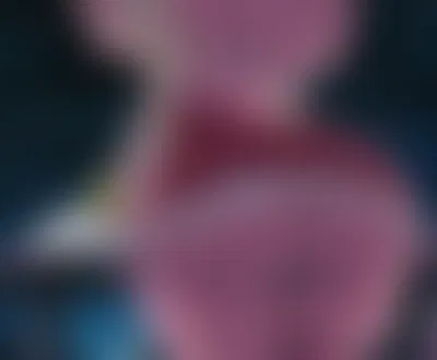 Amy rose