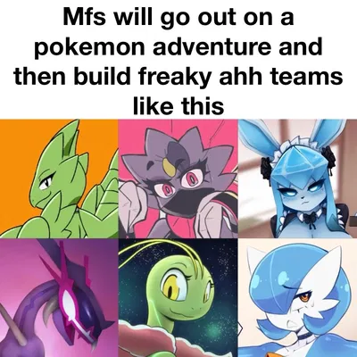 The Alolan Randomizer’s Champion Team