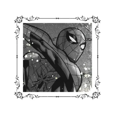 Peter Parker || Spider-Man