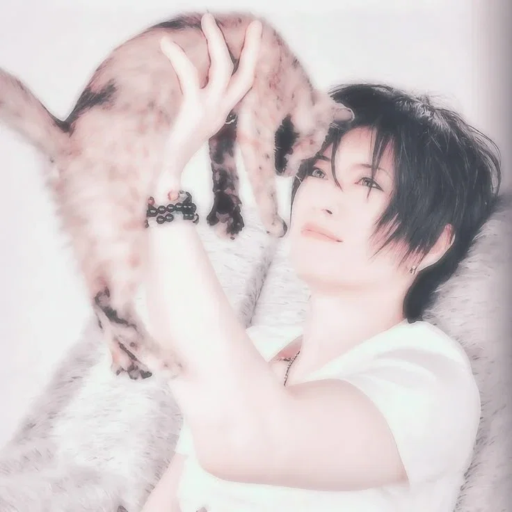 ── .✦ Gackt 𖹭