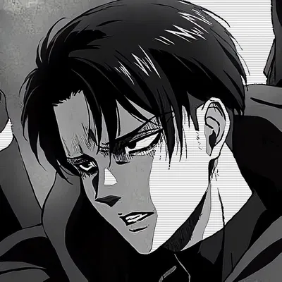 Levi Ackerman
