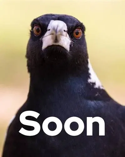 New bots soon.